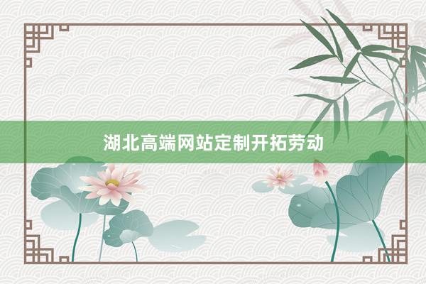 湖北高端网站定制开拓劳动