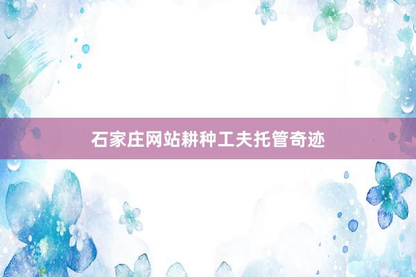石家庄网站耕种工夫托管奇迹